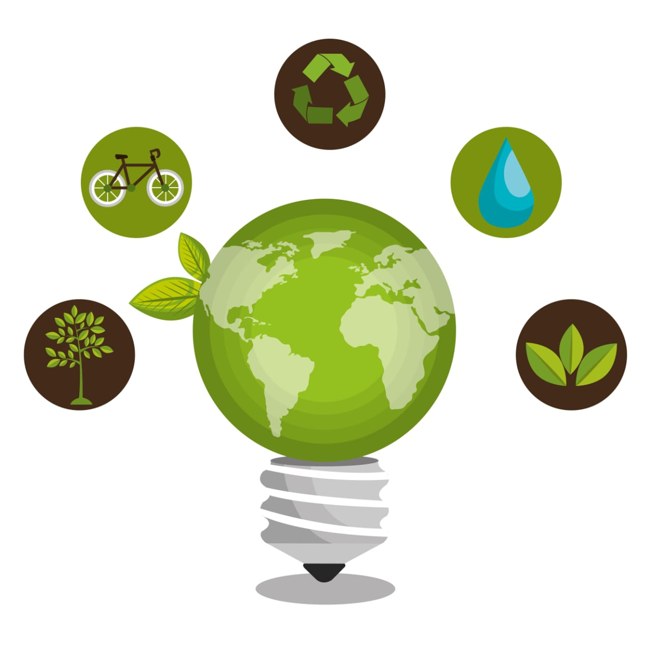About Ecovibes